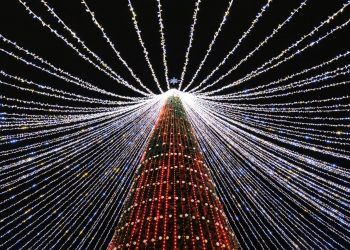 В мэрии рассказали, что увидят ульяновцы на новогодней Соборной площади