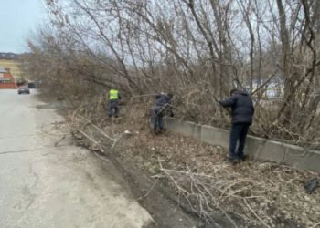 В Ульяновске очищают берег Свияги и приводят в порядок общественные территории