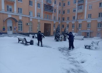 Бригады ульяновского Горзеленхоза помогают ликвидировать последствия снегопада