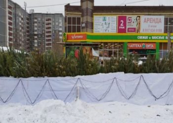 В Ульяновске более десяти ёлочных базаров не прошли проверку