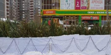 В Ульяновске более десяти ёлочных базаров не прошли проверку