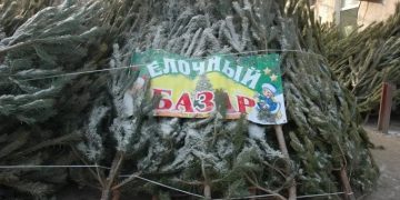 Новогодние ёлки в Ульяновске: где и с какого числа начнётся торговля