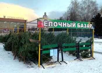 15 декабря в Ульяновске открылись 24 ёлочных базара