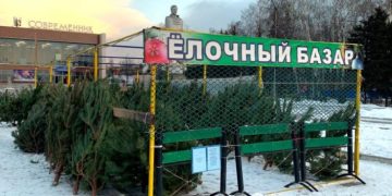 15 декабря в Ульяновске открылись 24 ёлочных базара