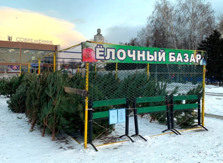 15 декабря в Ульяновске открылись 24 ёлочных базара