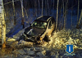 В Майнском районе «Лада Калина» улетела в кювет и врезалась в дерево