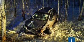 В Майнском районе «Лада Калина» улетела в кювет и врезалась в дерево