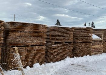 Более двух тысяч кубометров лесоматериалов экспортировано из Ульяновской области в 2025 году