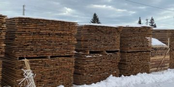 Более двух тысяч кубометров лесоматериалов экспортировано из Ульяновской области в 2025 году