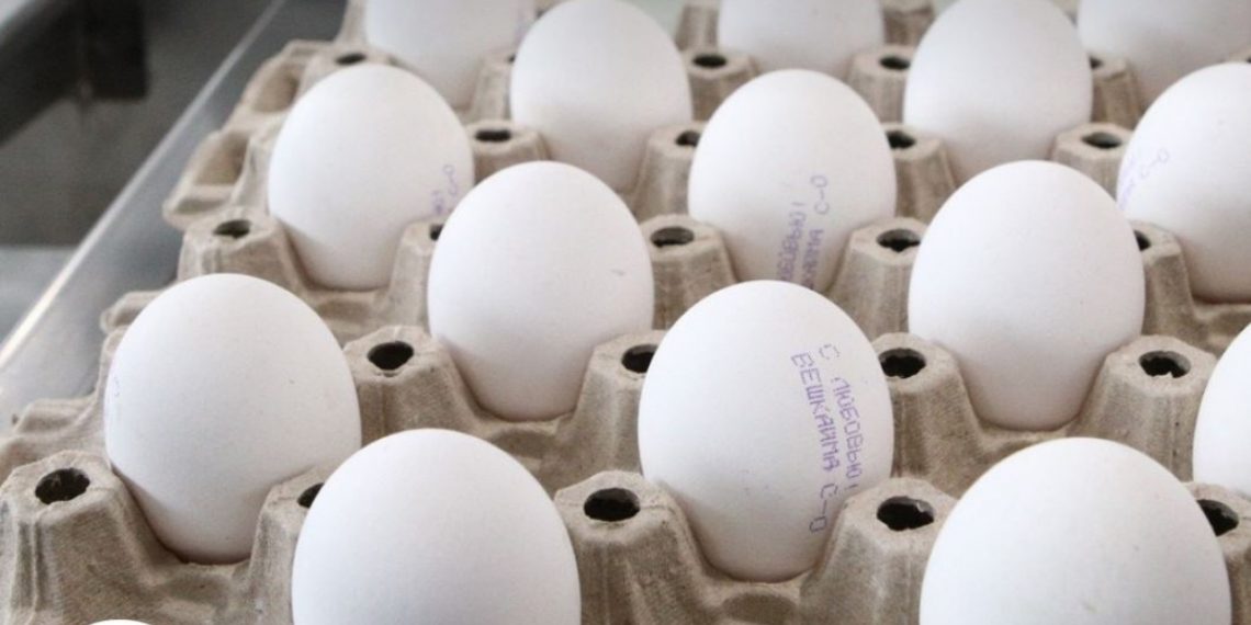 В ульяновском минсельхозе заявили о рекордном росте производства яиц и курятины