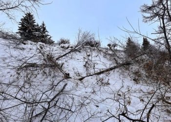 В ульяновском парке «Дружбы народов» расчистили 3300 м² склона