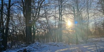 В ночь на 27 января в Ульяновской области столбик термометра опустится ниже -30°