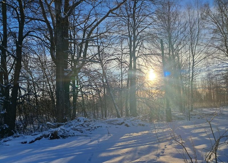 В ночь на 27 января в Ульяновской области столбик термометра опустится ниже -30°