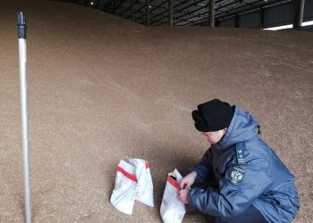 Россельхознадзор проконтролировал свыше 41 тысячи тонн зерна в Ульяновской области