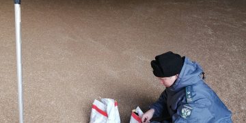 Россельхознадзор проконтролировал свыше 41 тысячи тонн зерна в Ульяновской области