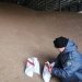 Россельхознадзор проконтролировал свыше 41 тысячи тонн зерна в Ульяновской области
