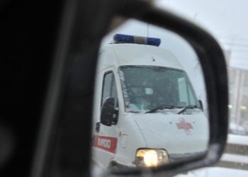 «Мышиная лихорадка» бьет рекорды в Димитровграде: 228 заболевших за сезон, есть жертвы