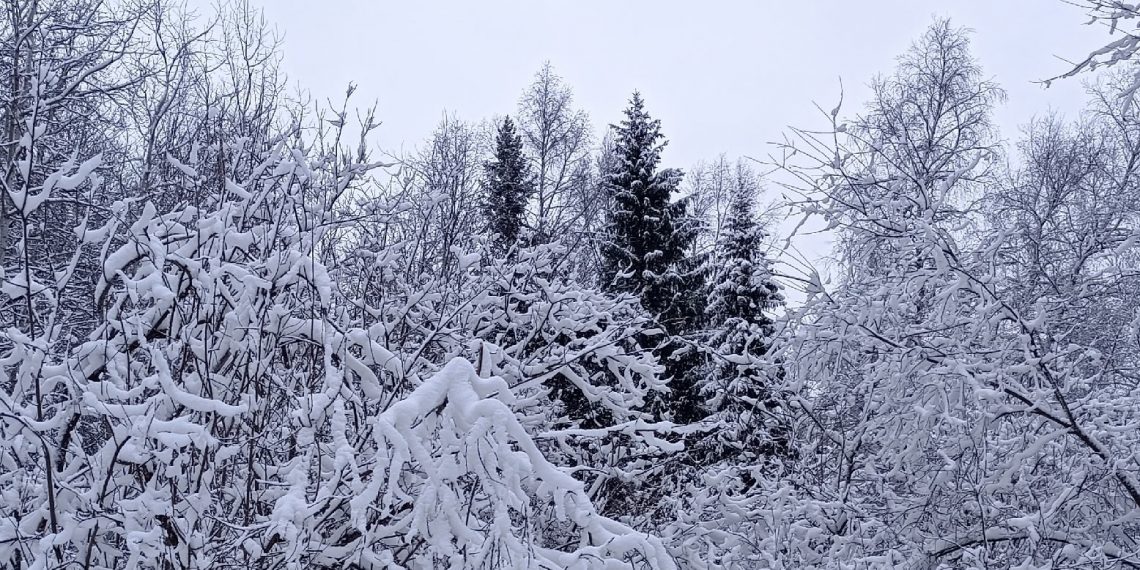 Гололёд и мокрый снег: 8 января в Ульяновске ожидается сложная дорожная обстановка