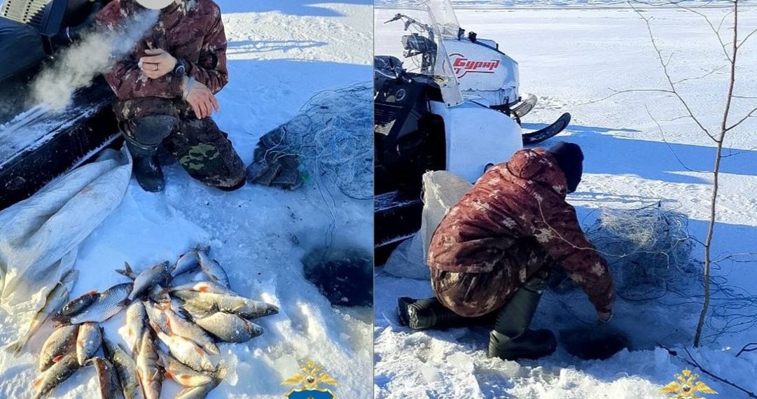 На Волге в Сенгилеевском районе задержали браконьера с сетью и рыбой