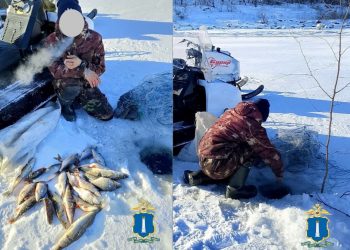 На Волге в Сенгилеевском районе задержали браконьера с сетью и рыбой