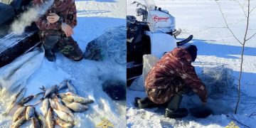На Волге в Сенгилеевском районе задержали браконьера с сетью и рыбой