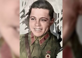 Поисковики из Ульяновска и Беларуси нашли останки Героя Советского Союза Фёдора Баталова