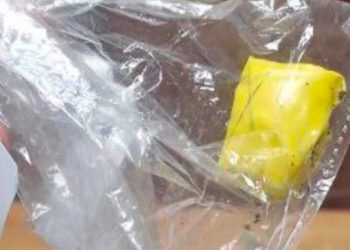 В Ульяновской области задержали водителя с наркотиками в дверном отсеке