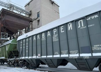 Ульяновская область поставила тысячи тонн кормов в Северо-Западный регион