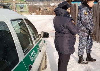 В Ульяновске судебные приставы помогли отцу забрать детей у матери