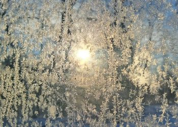 Метель и шквалистый ветер обрушатся на Ульяновскую область