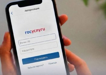 Реестр злостных ульяновских алиментщиков стал доступен на Госуслугах