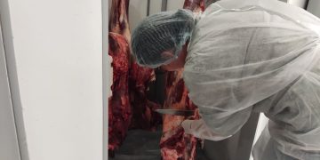 Ульяновские ветеринары проверили мясо на скотобойнях