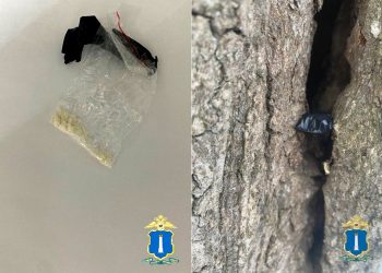 В Димитровграде задержан молодой человек с крупной партией мефедрона