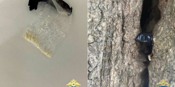 В Димитровграде задержан молодой человек с крупной партией мефедрона