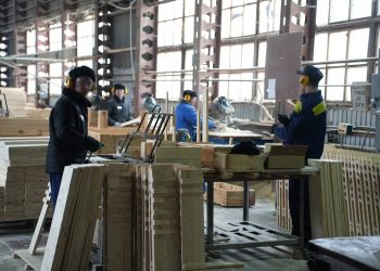 Ульяновские колонии получат 35-миллионные заказы на деревообработку