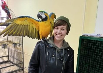 Обитатели выставки экзотических животных прошли ветконтроль в Ульяновске