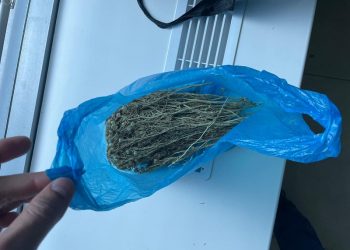 Димитровградца задержали в Оренбурге со 109 граммами наркосодержащей гармалы