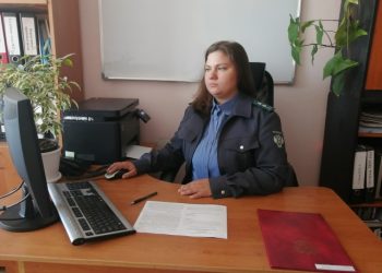 В Ульяновской области пресечена незаконная интернет-торговля ветеринарными препаратами