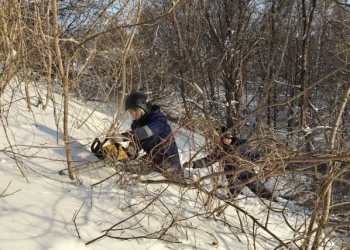На косогоре парка «Дружбы народов» идут работы по расчистке в экстремальных условиях