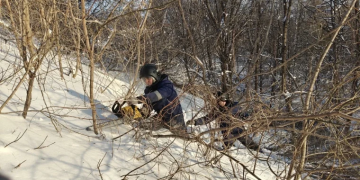 На косогоре парка «Дружбы народов» идут работы по расчистке в экстремальных условиях