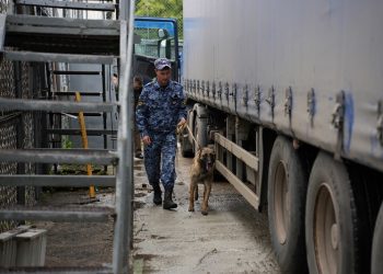39 задержанных за год: Ульяновский УФСИН подвёл итоги борьбы с «запрещёнкой»