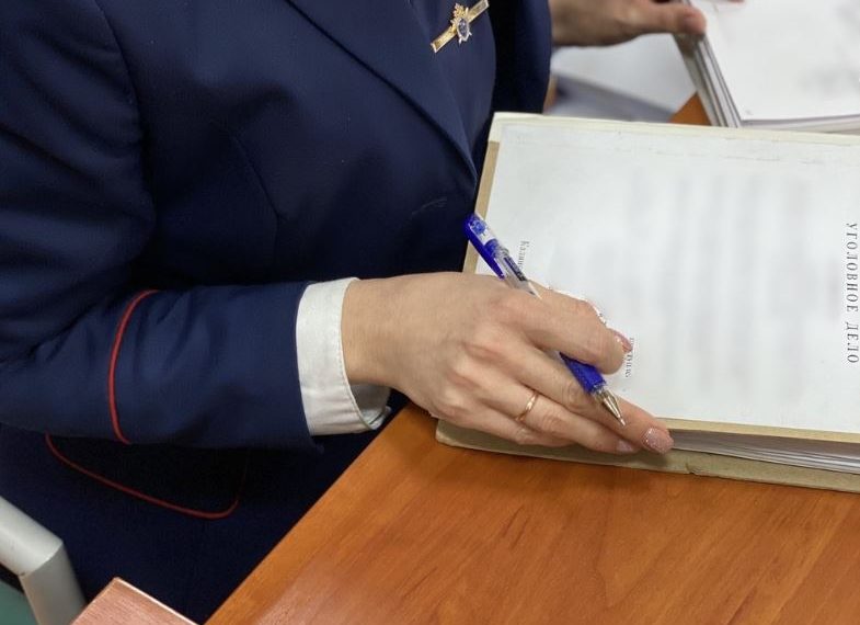 Бастрыкин потребовал возбудить дело из-за аварийного дома на Пушкарёва в Ульяновске