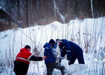 Замерзающего лебедя-подростка спасли в Ульяновской области