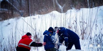Замерзающего лебедя-подростка спасли в Ульяновской области