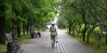 В Ульяновске восстановят 100 уличных диванов на центральных бульварах