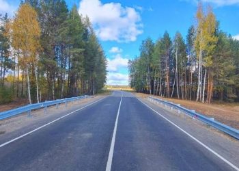 Муляжи камер и «шериф-балки»: в Ульяновской области усилили контроль на дорогах