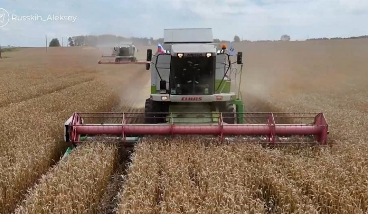 Рекорды на фоне проблем: ульяновские аграрии жалуются на рост себестоимости и дефицит кадров