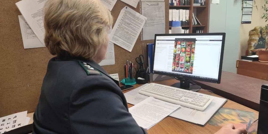 Ульяновцев предупреждают: на популярном маркетплейсе продают «запрещённые» семена