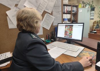 Ульяновцев предупреждают: на популярном маркетплейсе продают «запрещённые» семена