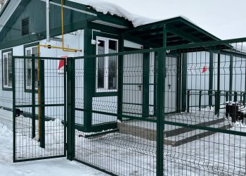 Четыре новых ФАПа начали принимать пациентов в Кузоватовском районе